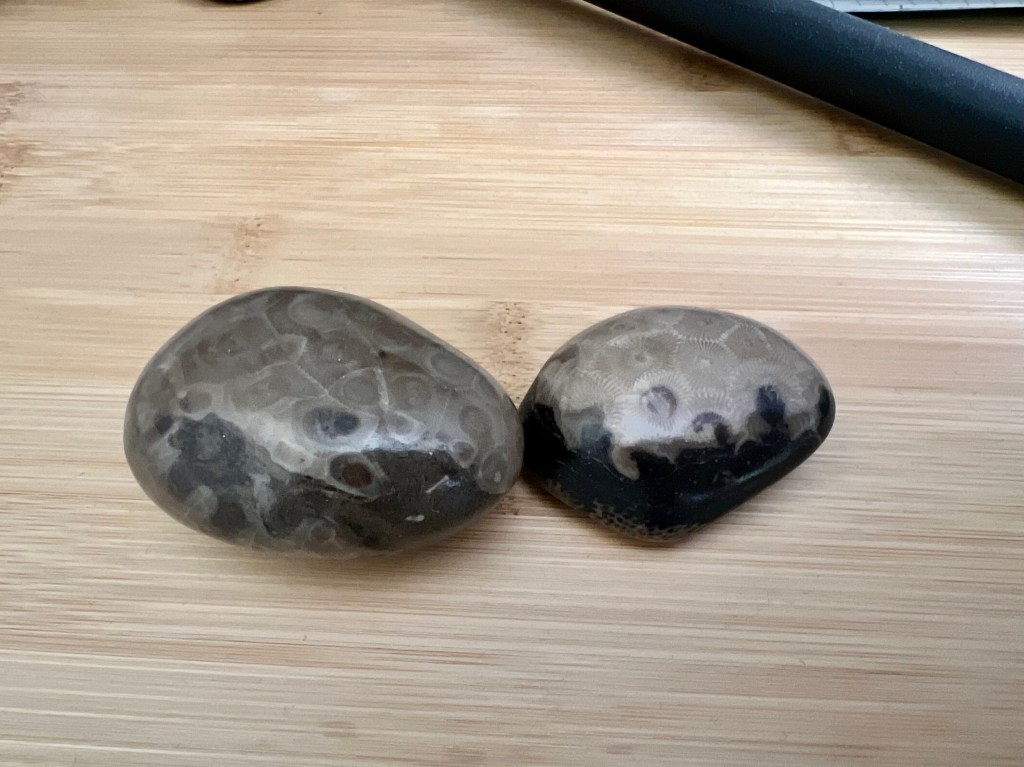 Petoskey Stones